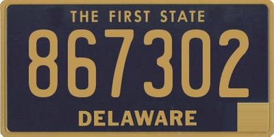 DE license plate 867302