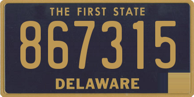 DE license plate 867315
