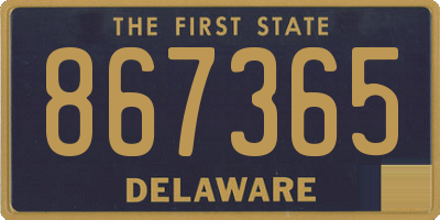 DE license plate 867365