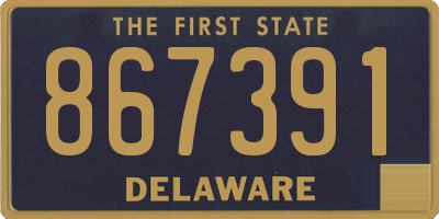 DE license plate 867391
