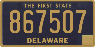 DE license plate 867507