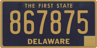 DE license plate 867875