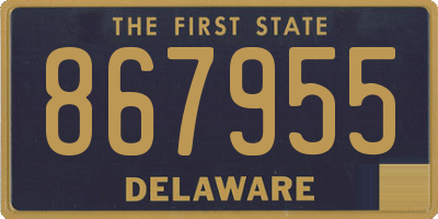 DE license plate 867955