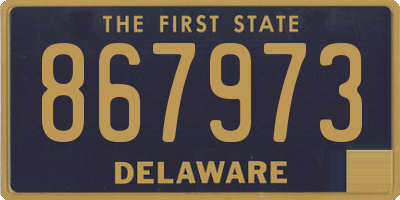 DE license plate 867973