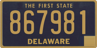 DE license plate 867981