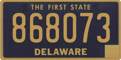 DE license plate 868073