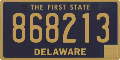 DE license plate 868213