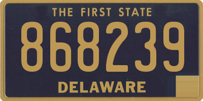 DE license plate 868239