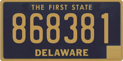 DE license plate 868381