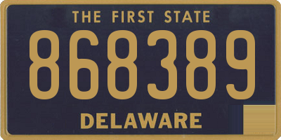 DE license plate 868389