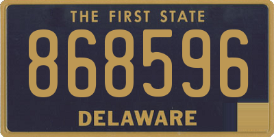 DE license plate 868596