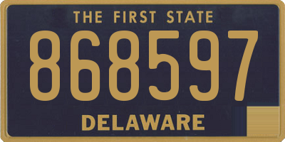 DE license plate 868597