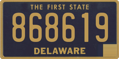 DE license plate 868619