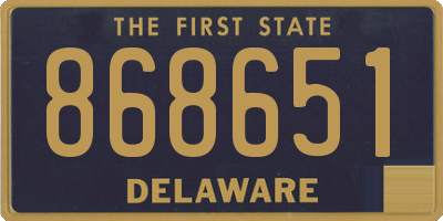 DE license plate 868651
