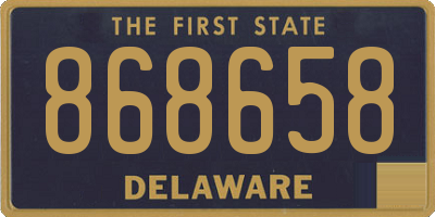 DE license plate 868658