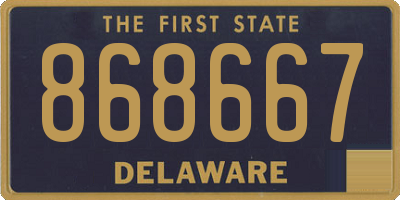 DE license plate 868667