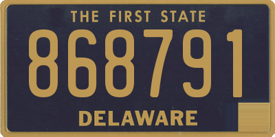 DE license plate 868791