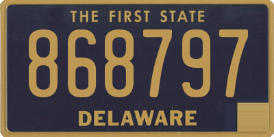 DE license plate 868797