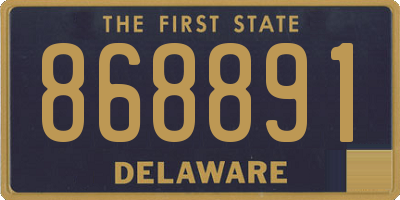 DE license plate 868891