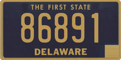 DE license plate 86891