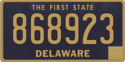 DE license plate 868923
