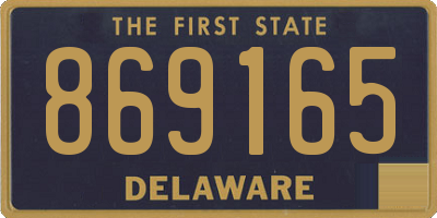 DE license plate 869165
