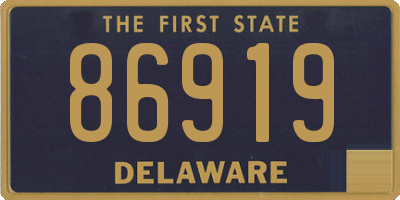 DE license plate 86919