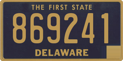 DE license plate 869241