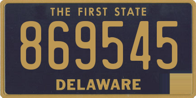 DE license plate 869545