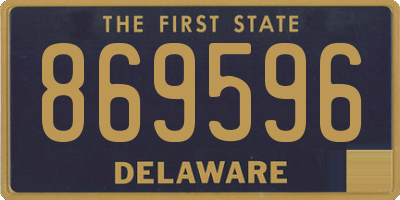 DE license plate 869596