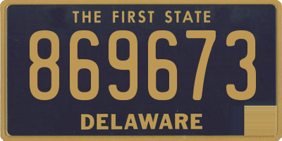 DE license plate 869673