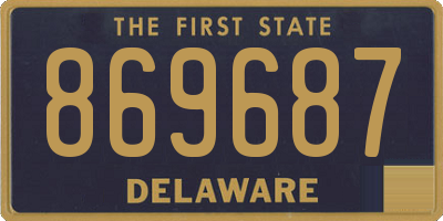 DE license plate 869687
