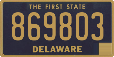 DE license plate 869803