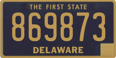 DE license plate 869873