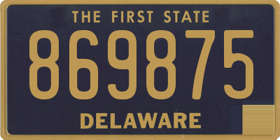 DE license plate 869875