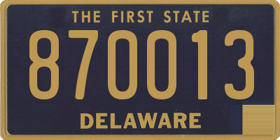 DE license plate 870013