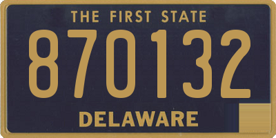 DE license plate 870132