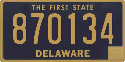 DE license plate 870134