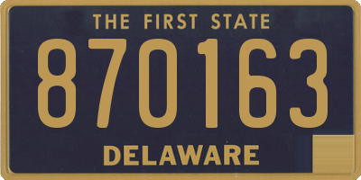 DE license plate 870163
