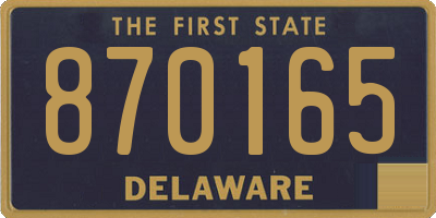 DE license plate 870165