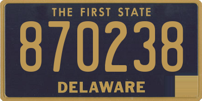 DE license plate 870238