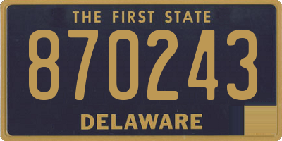 DE license plate 870243