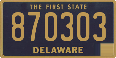 DE license plate 870303