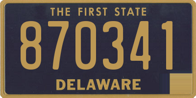 DE license plate 870341
