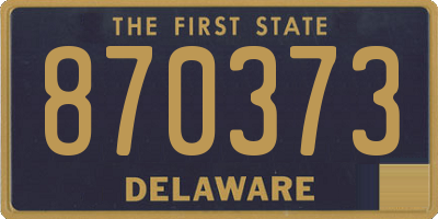 DE license plate 870373