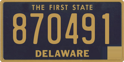 DE license plate 870491