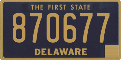 DE license plate 870677