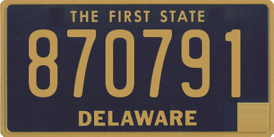 DE license plate 870791
