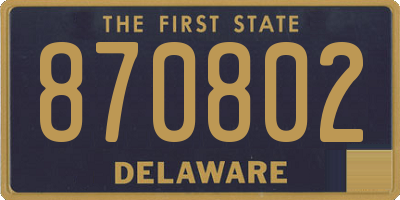 DE license plate 870802