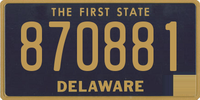 DE license plate 870881